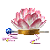 青纱帽